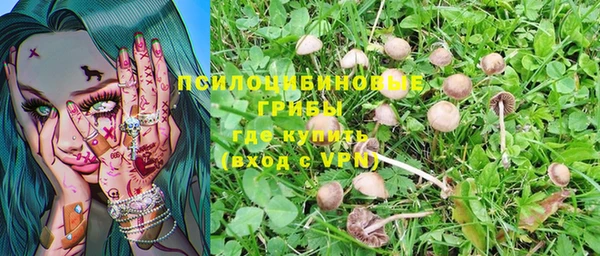 ECSTASY Лабытнанги